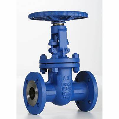 供應意大利Valvosider閥門、過濾器